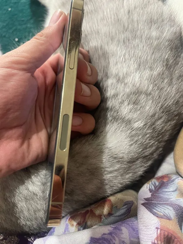 iPhone 12pro gold 73% 128Gb 3