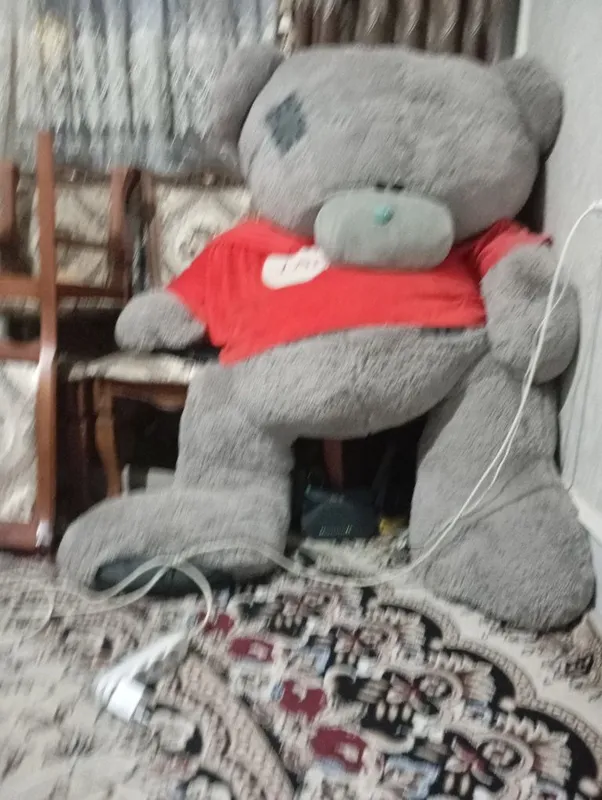 Teddy ayiq yengide