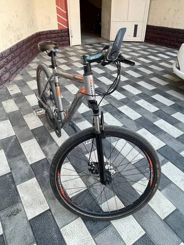 Velosiped 1