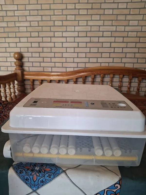 Инкубатор 70 талик