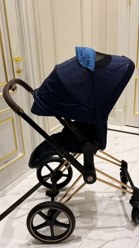 Коляска детская Cybex Priam 4 8