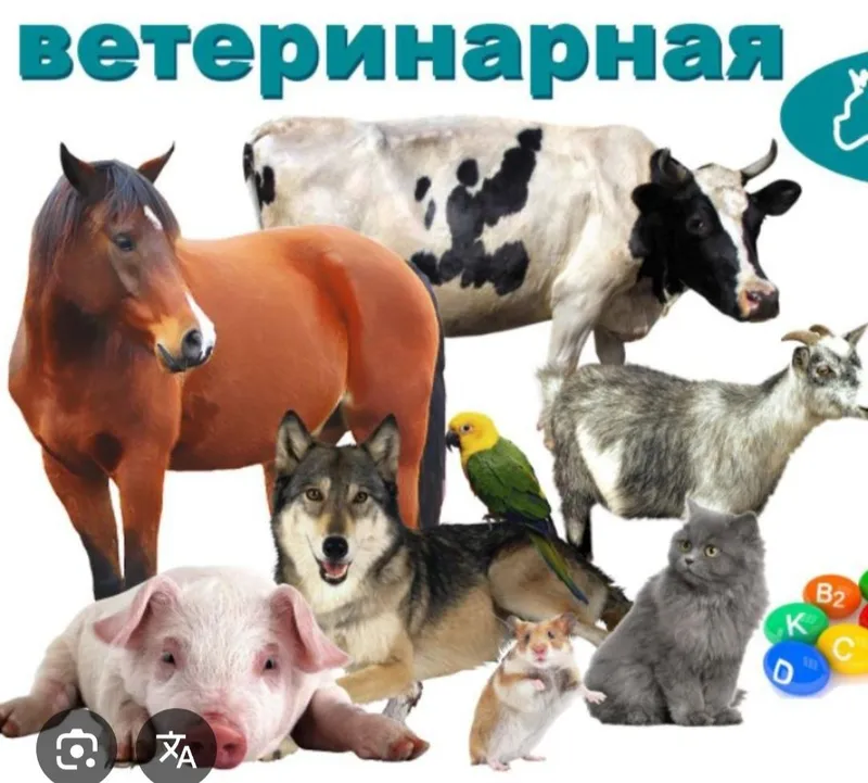 Veterinariya apteka Vet apteka Dostavka qvoramiz