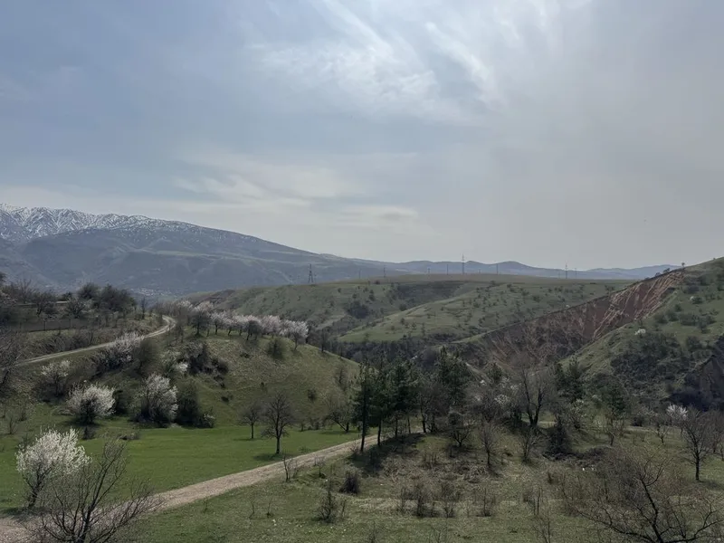 Продается своя зона отдыха Чарвак, Бочка рядом #ZOR