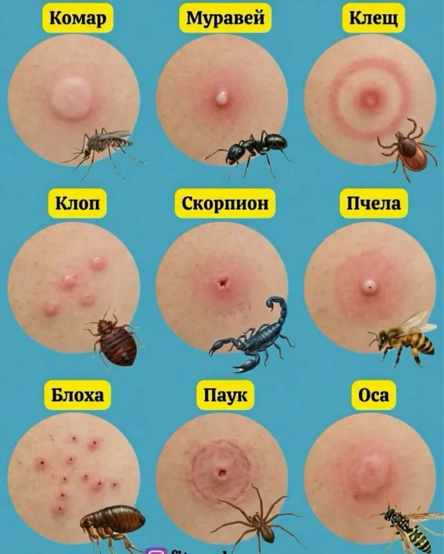 Dezinfeksiya Skidka!!! 2