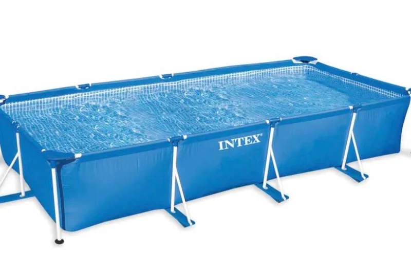 Intex basseyni 1