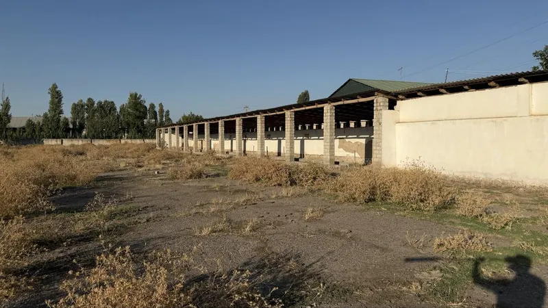 117 sotix kadastrli biznes hududi sotiladi | Quyi Chirchiq 6