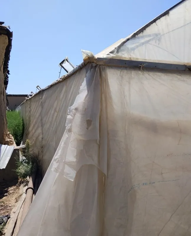 Nazarbekda hovli sotiladi. 6
