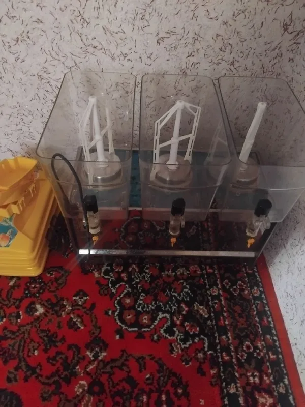 Kapoʻtnissa Apara 2 Kapoʻtnissa Apara 2