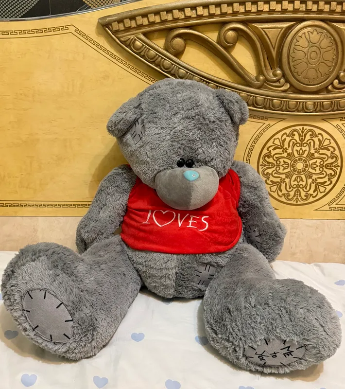 Мягкая игрушка Teddy