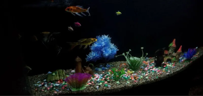 Akvarium 500litr 3