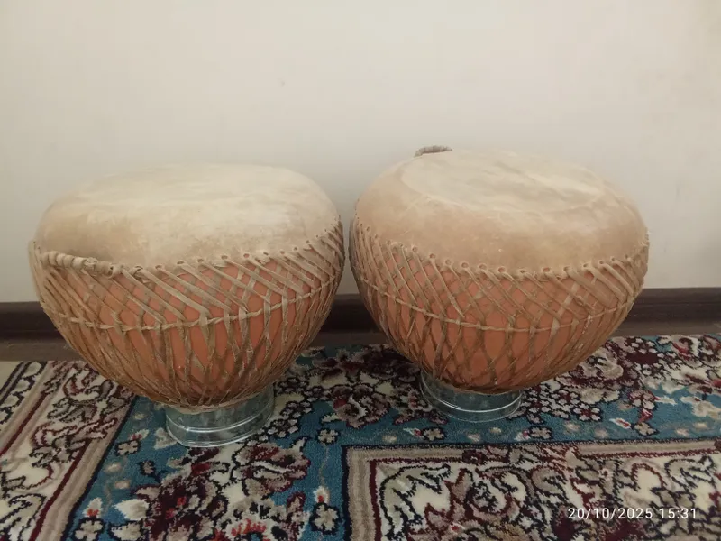 nogʻoralar 2 nogʻoralar 2