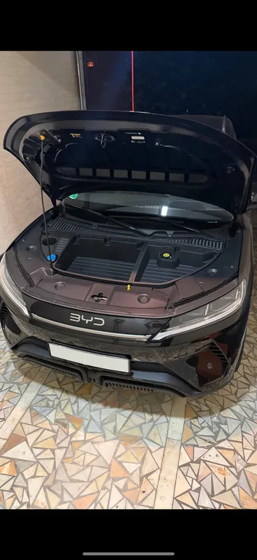Органайзер BYD YUAN UP — фото 2