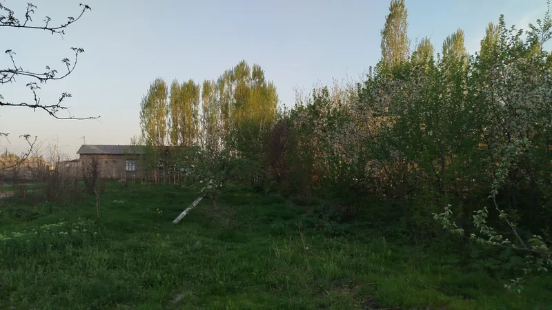 Участка 10 соток — фото 3