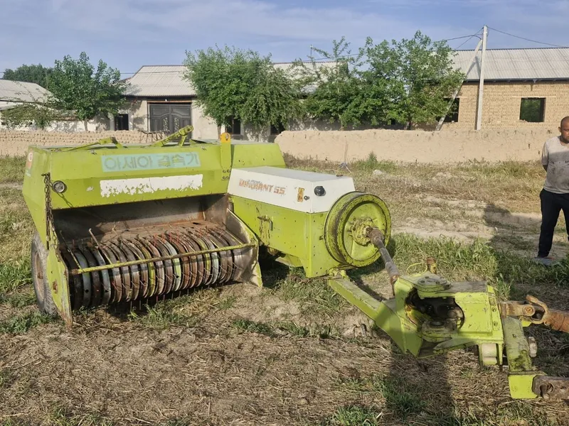 Class 55 market piris padborchik