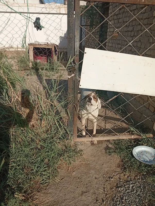 It