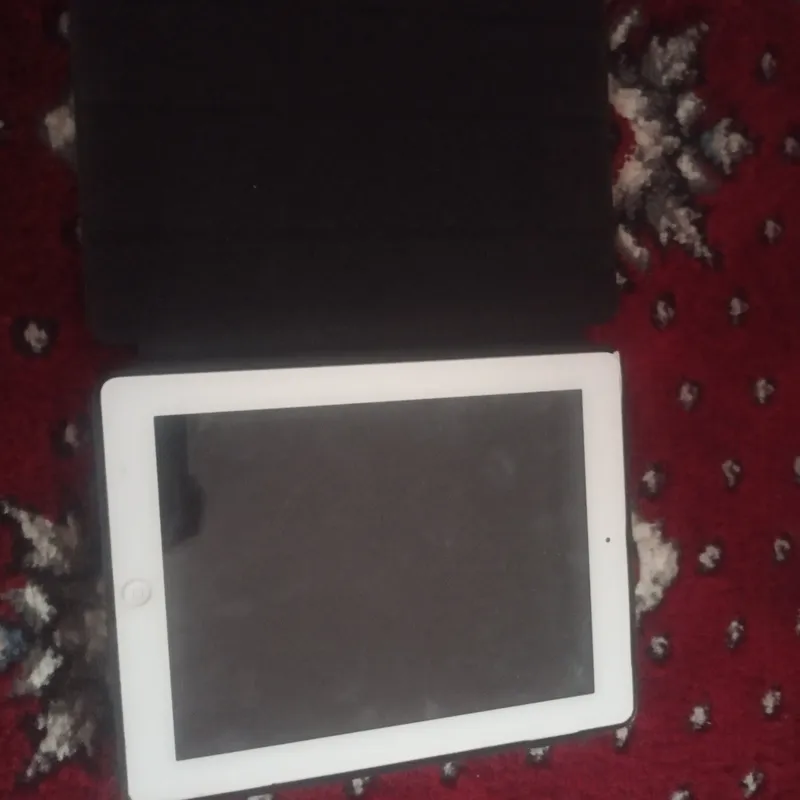 aypad xotirasi 256 orginal
