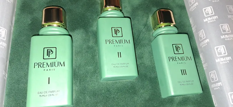 🇫🇷 Premium Paris — очарование Франции