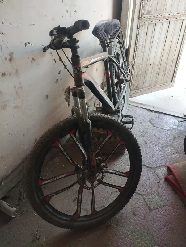 sport velosiped — фото 1