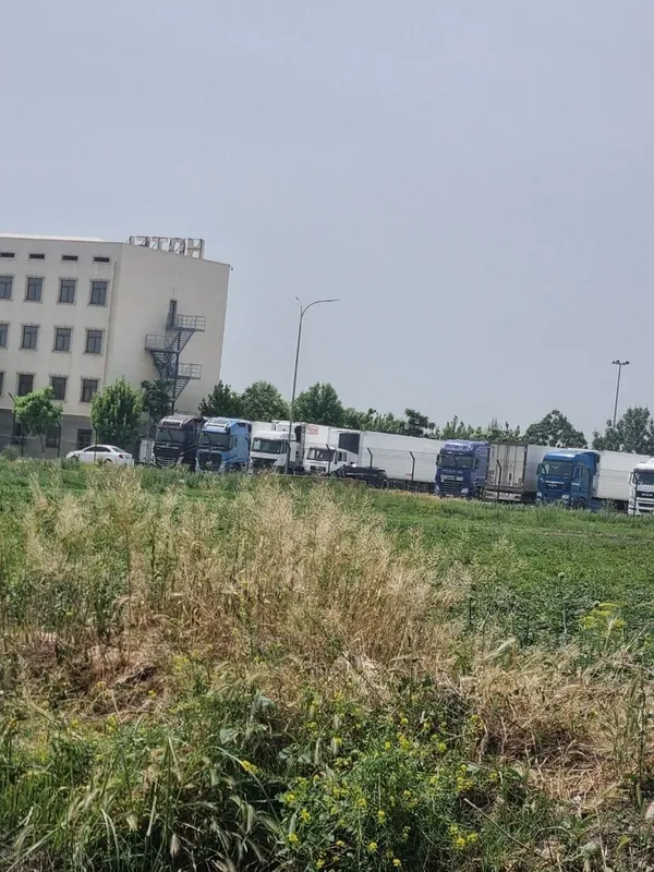 Food cityda 2.8 sotixli xovli sotiladi