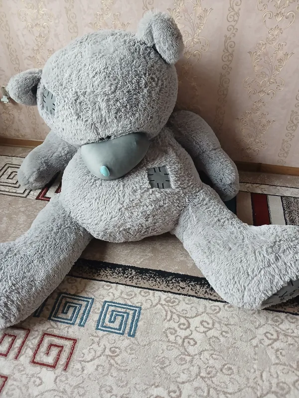 teddy "srochna sotiladi"
