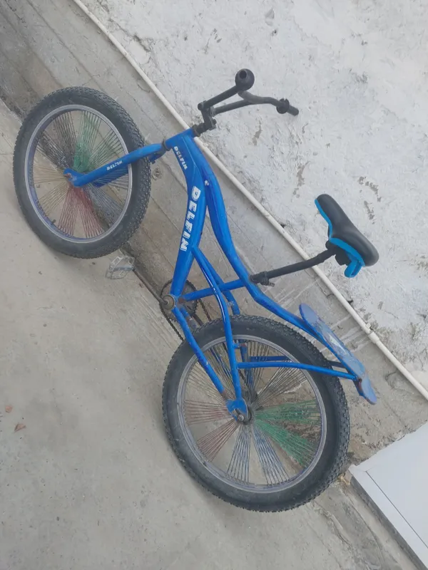 Velosiped Delfin