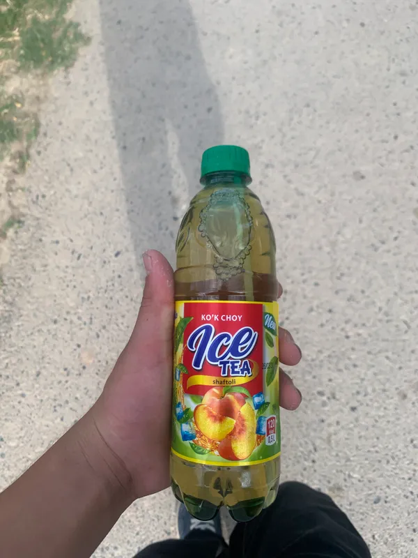 Ice suv 3000