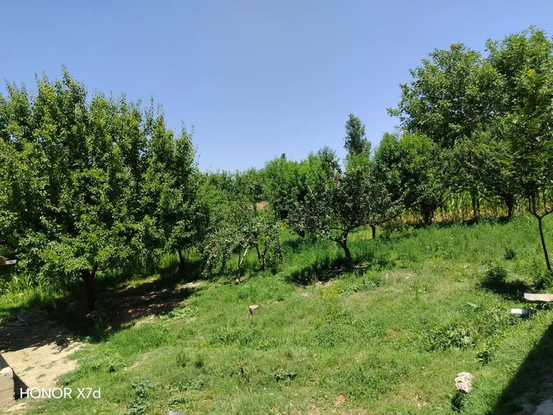 Agarot sotiladi yangiyo'l tuman mirzaboboyevda 10sotix bog'i bilan — фото 1