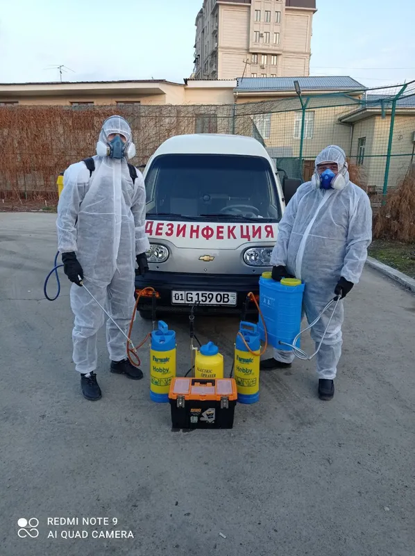 Dezinfeksiya дезинфекция 24/7 dizinfeksiya клапа таракан klapa tarakan