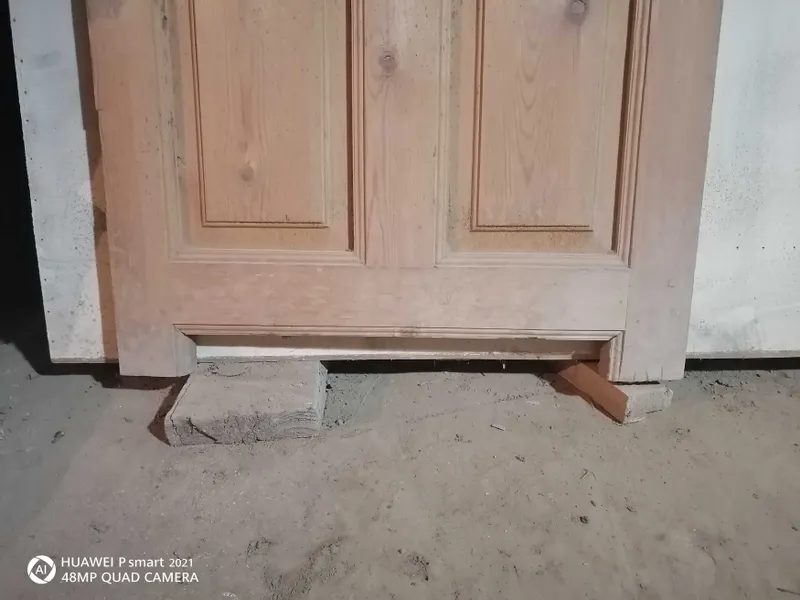 Эшик сосна дарахт — фото 2