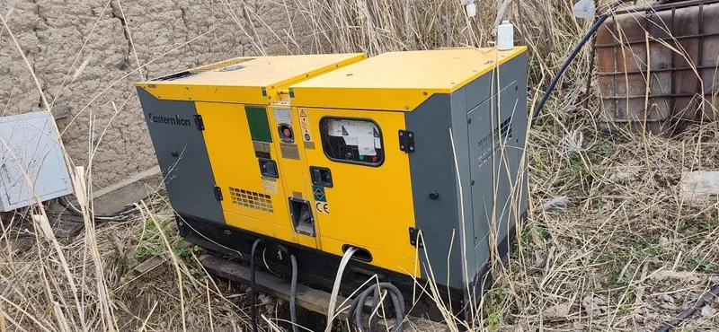 Generator holati zoʻr