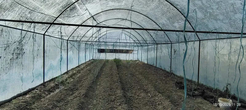 Issiq xona sotiladi