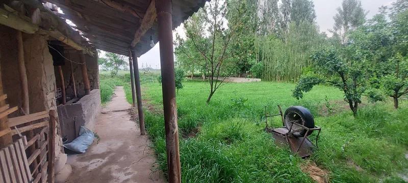 Продаётся дом в Бустанлыкском районе ( поселок Янги аул) — фото 5