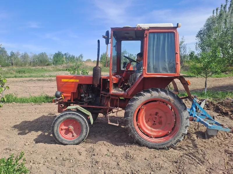 Traktor T 25 sotiladi