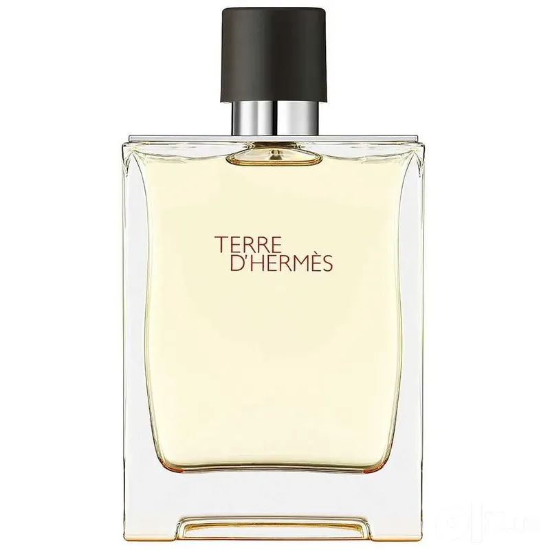 Terre d'Hermès Hermès 100 ml Original 1 Terre d'Hermès Hermès 100 ml Original 1