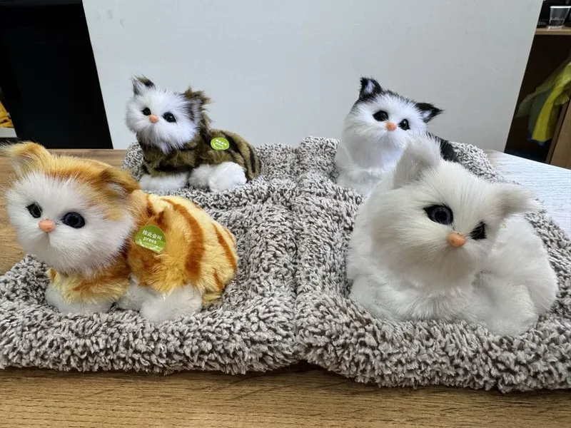 Котики для автомобиля 2