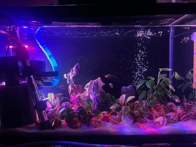 Akvarium+terarium