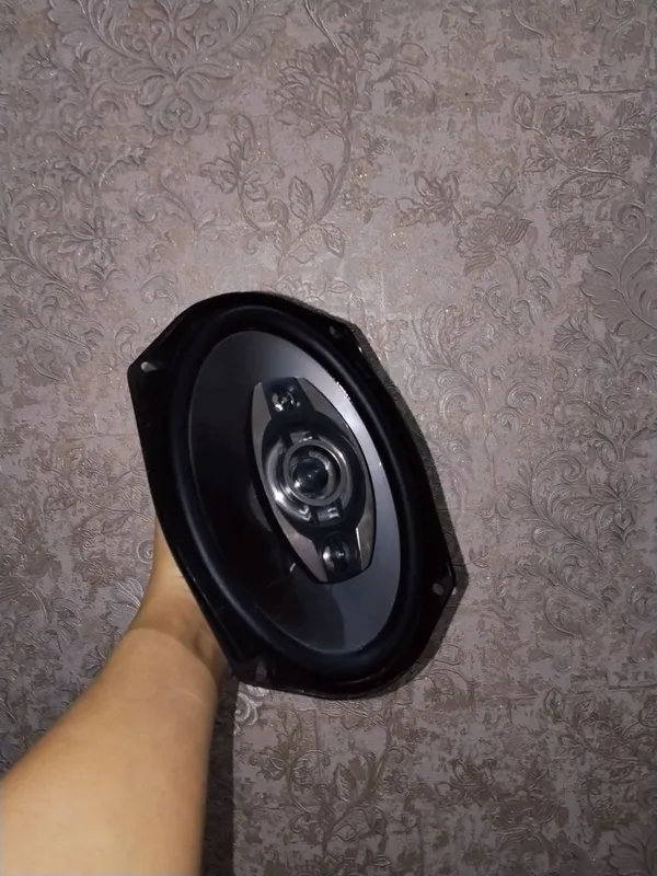 Pioneer TS-A6975S karnay 1