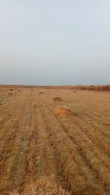 Макка прес сотилади — фото 1