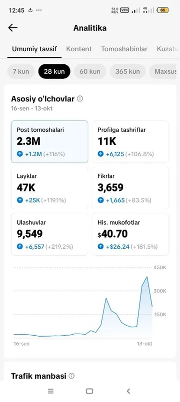Услуга по открытию монетизированного TikTok-аккаунта 3 Услуга по открытию монетизированного TikTok-аккаунта 3