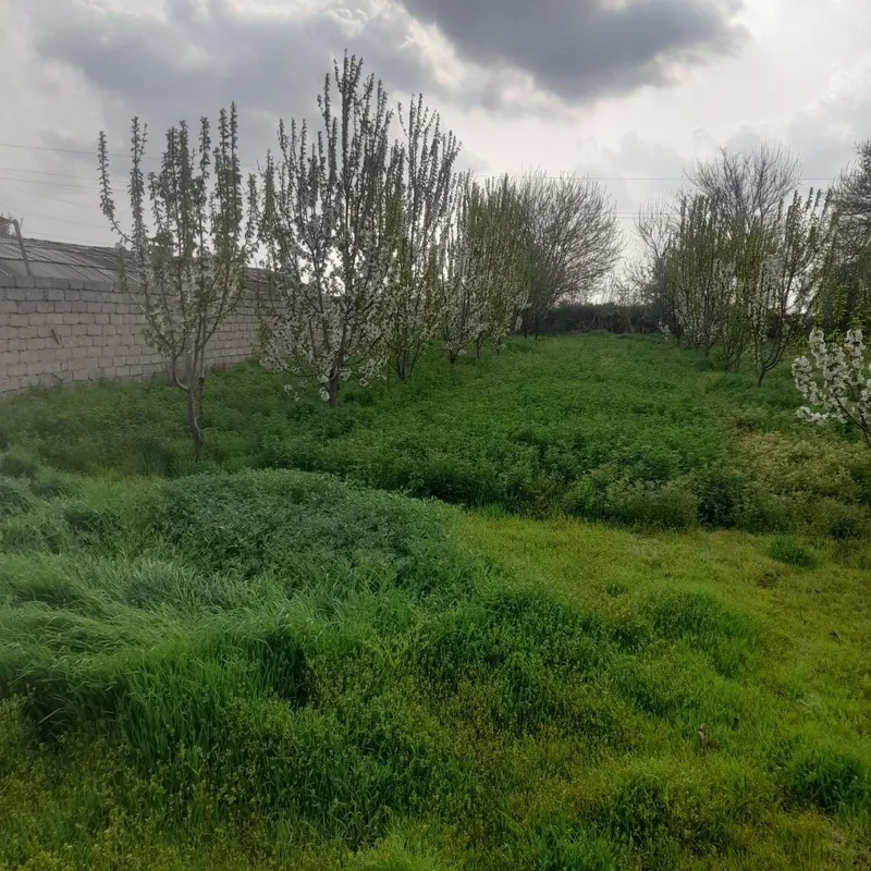 В городе Сырдарья продаётся участок 12 соток 3 В городе Сырдарья продаётся участок 12 соток 3