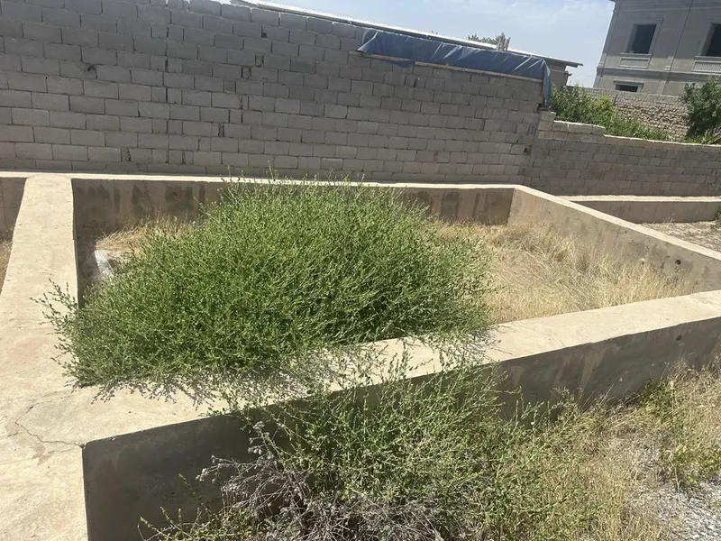 Yer sotiladi Qarshi shahar Taraqqiyot mahallasi — фото 8