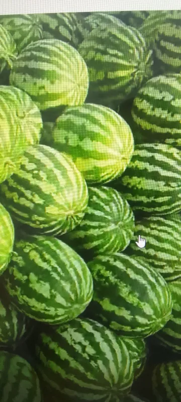 Продаются арбузы 2