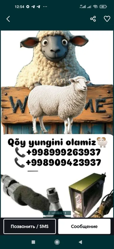 Qõy yungini olish