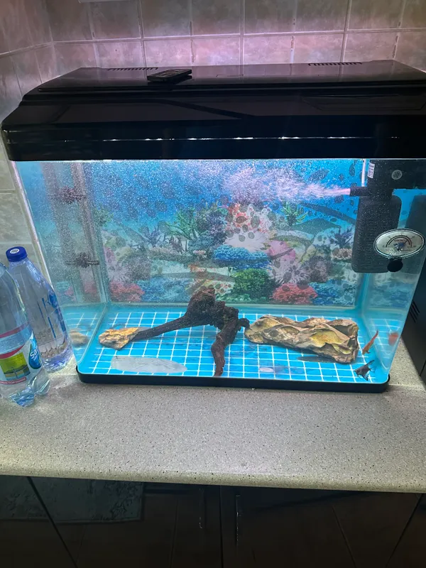 akvarium sotiladi 2