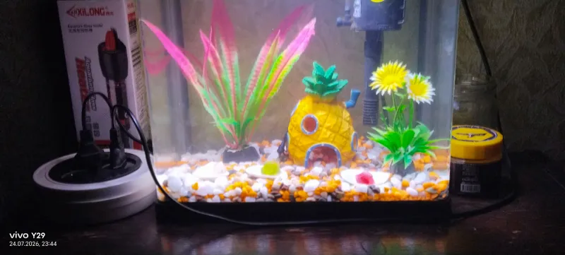 Akvarium sotiladi 2
