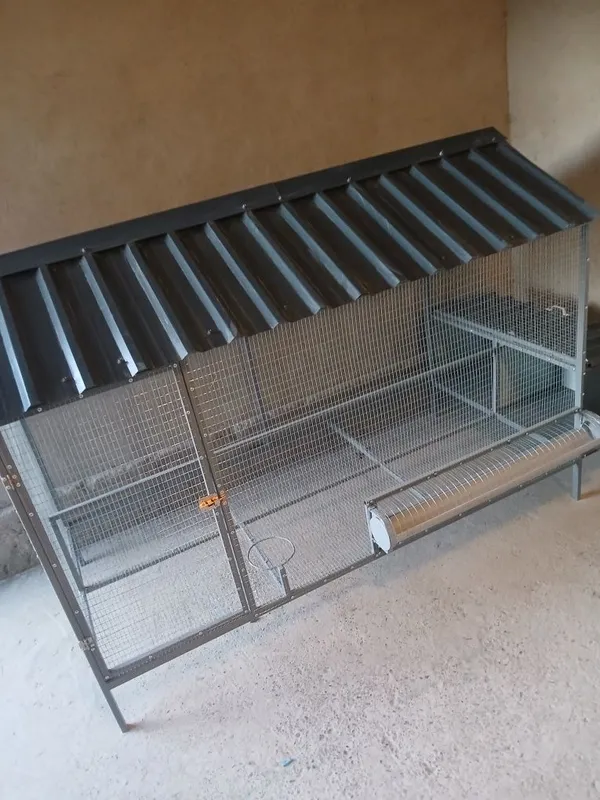 Tavuq katak sotuvda 1 Tavuq katak sotuvda 1