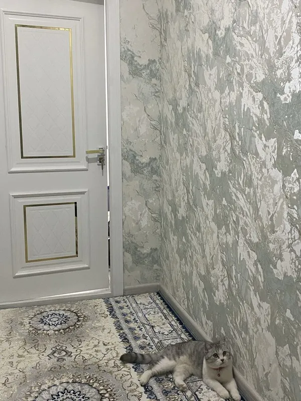 мушук сотилади срочно 2