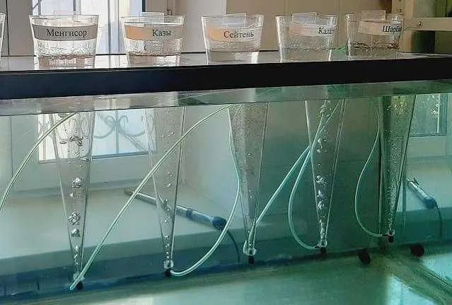 Artemiya cistasın saqlaw hám laboratoriya sınaw xızmetleri (hatching. 3 Artemiya cistasın saqlaw hám laboratoriya sınaw xızmetleri (hatching. 3