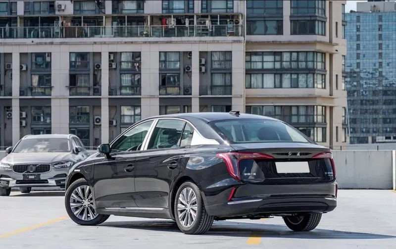 Hongqi E-QM5 Black and White 2 Hongqi E-QM5 Black and White 2