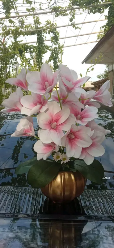 Beauty_Flowers 1